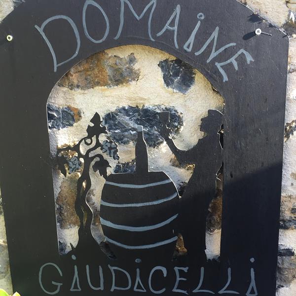 Domaine Guidicella, Patromonio