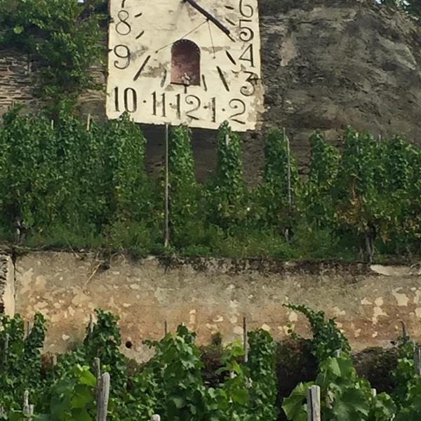 Wehlener Sonnenuhr, Mosel - Wenn die Passion zur Berufung wird