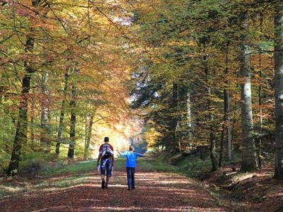 Oostbelgie wandelen Herfst (c) eastbelgium.com